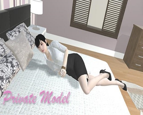      Private Model PC Game Free Download - 87